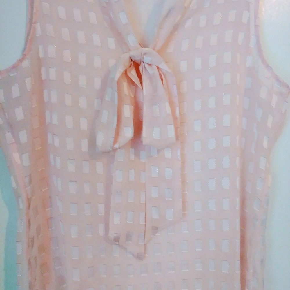 New York and Company Pink Sheer Blouse